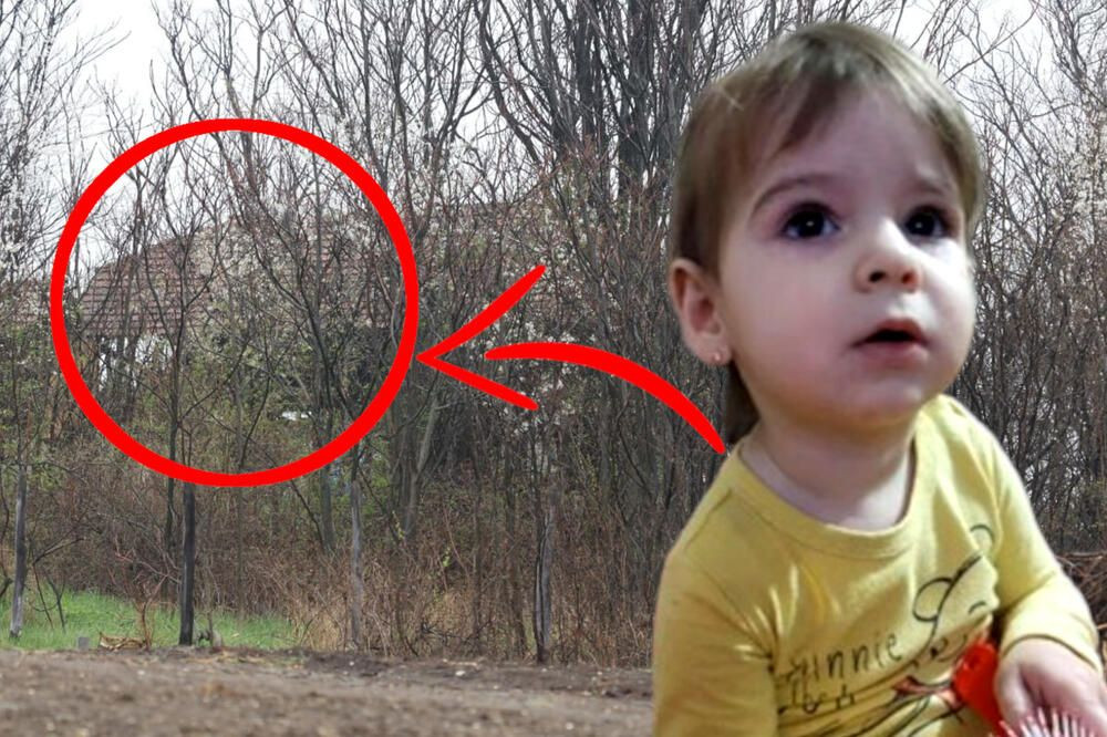 Danka Ilić nestala djevojčica