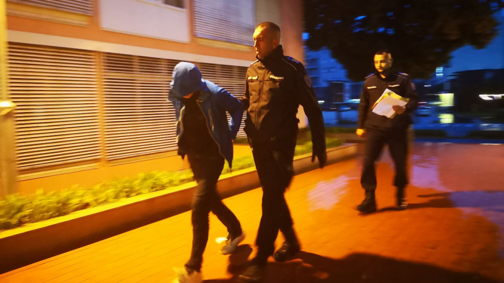 Privođenje kradljivca Kipa Bruce Lee