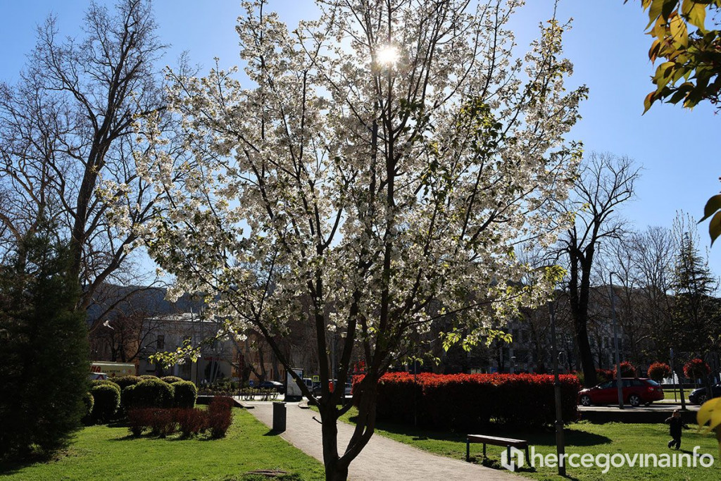 Proljeće u Mostaru