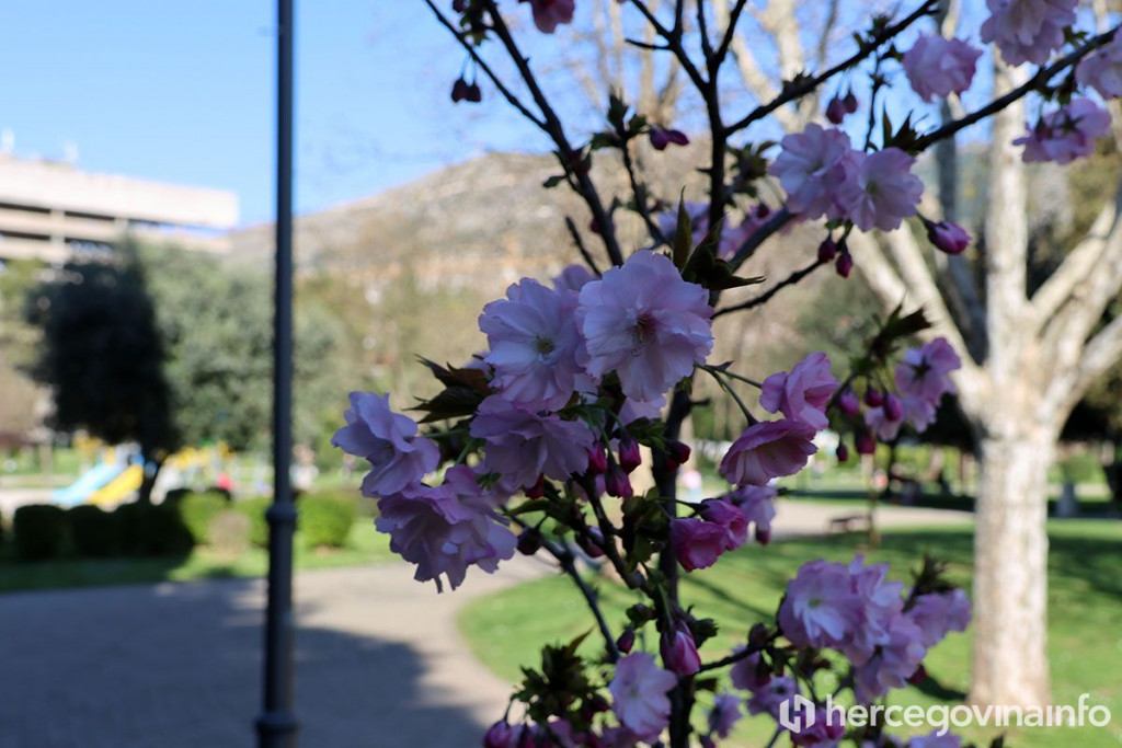 Proljeće u Mostaru