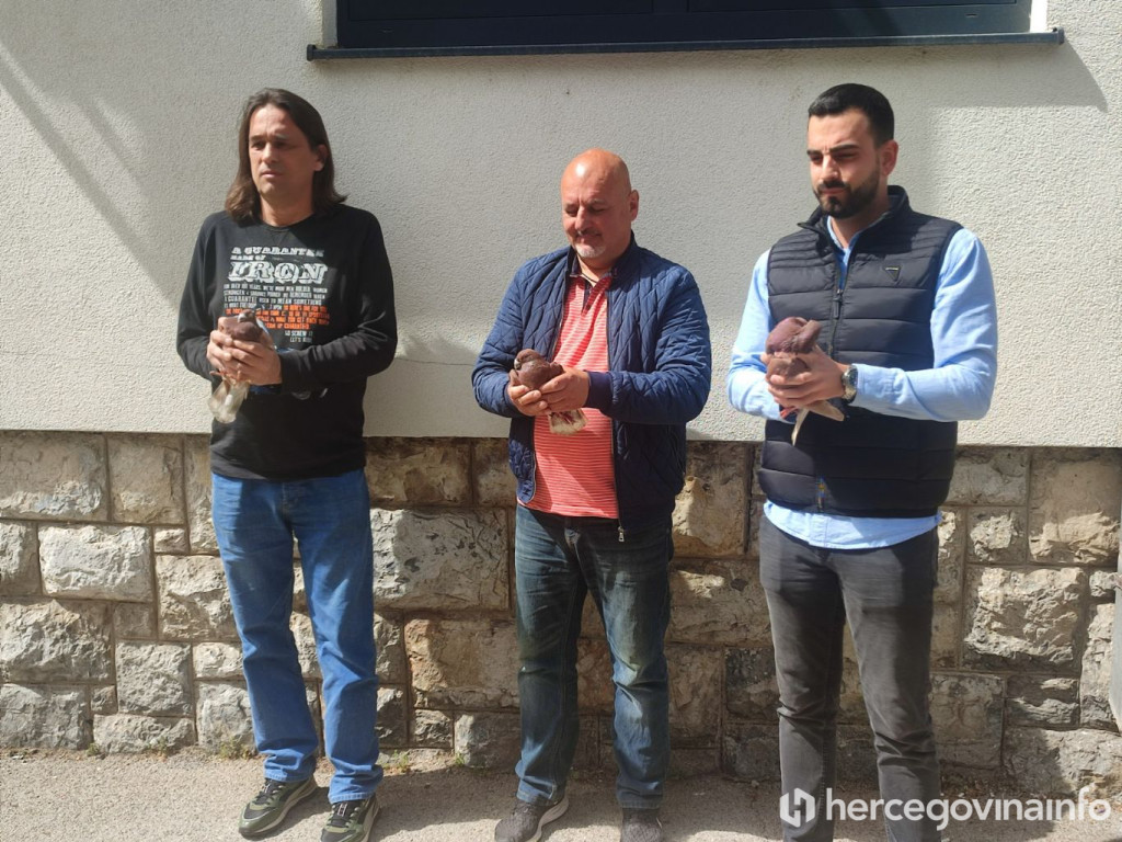 Aerodrom Trebinje performans