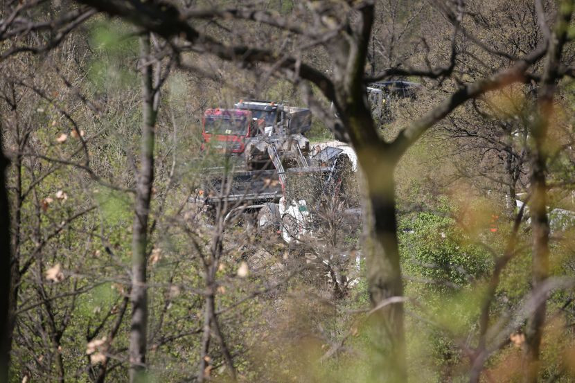 Ubojstvo Danke Ilić