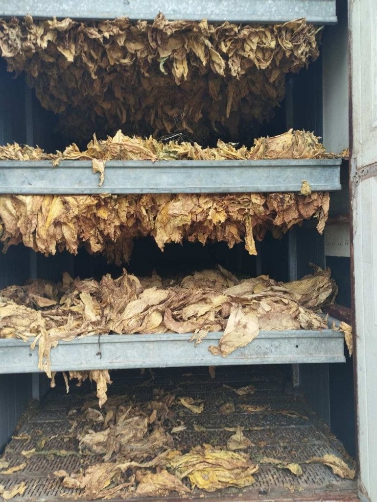 Duhan Široki Brijeg