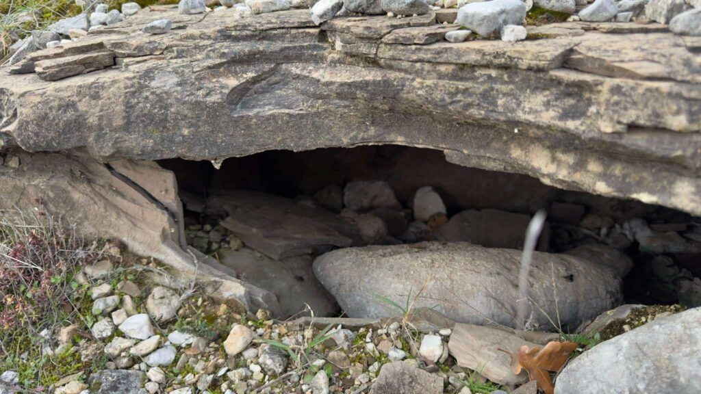 Nekropola Greblje u selu Humilišani kod Mostara