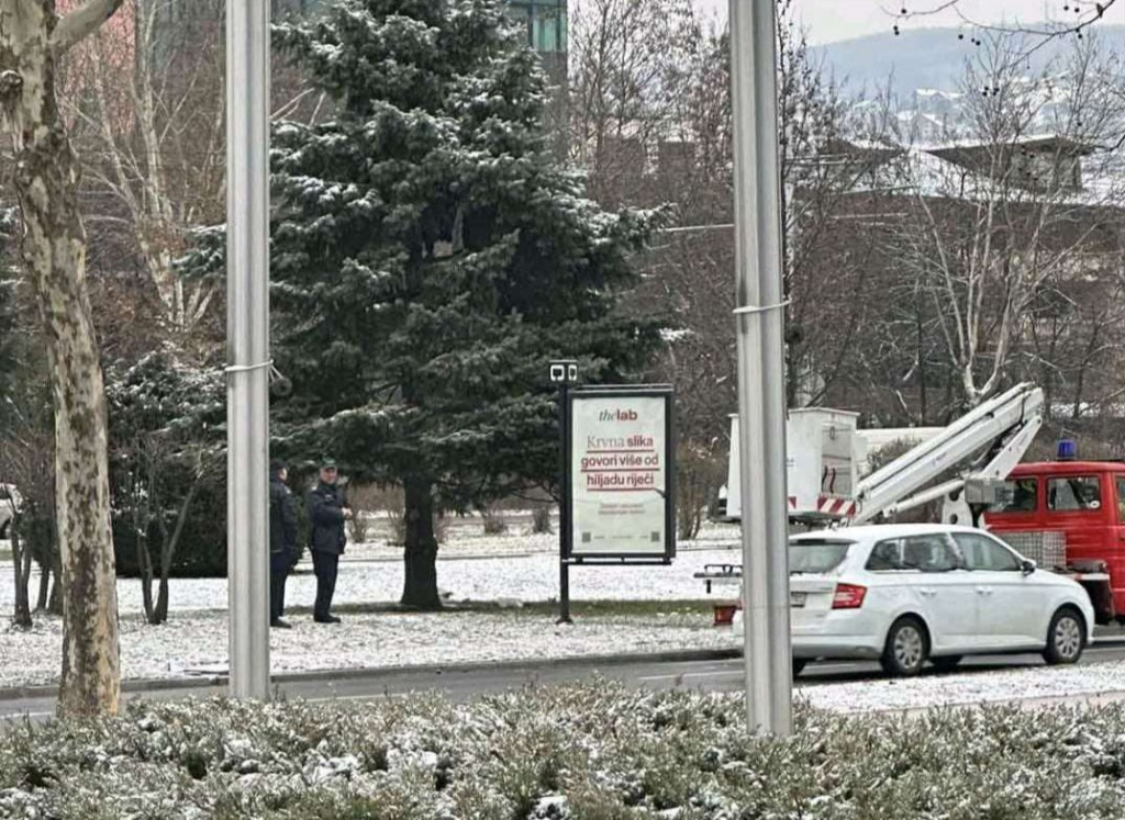 Migrant na stablu u Sarajevu