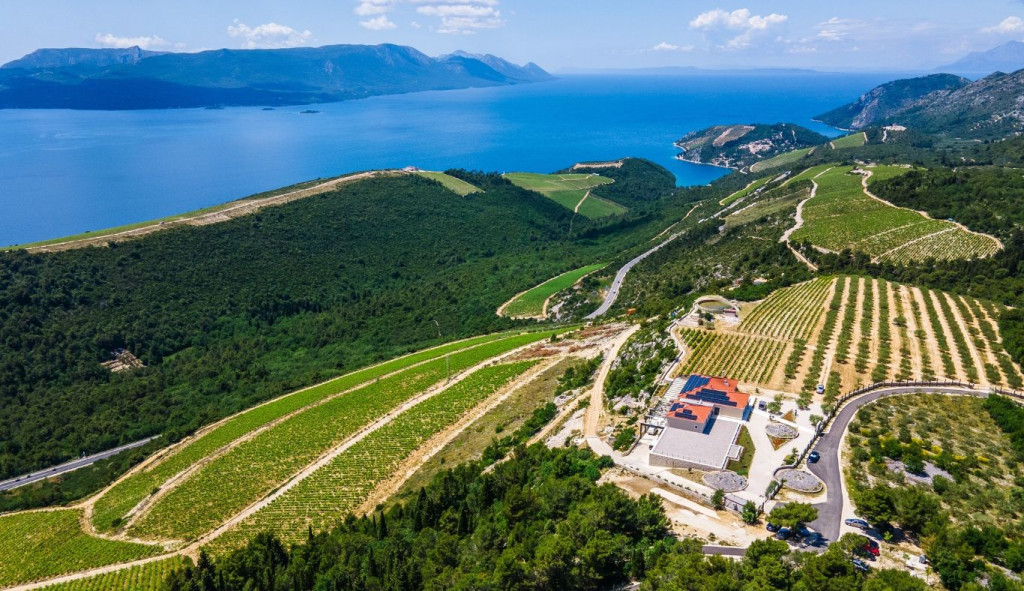 Pobuna vinara u Komarnoj