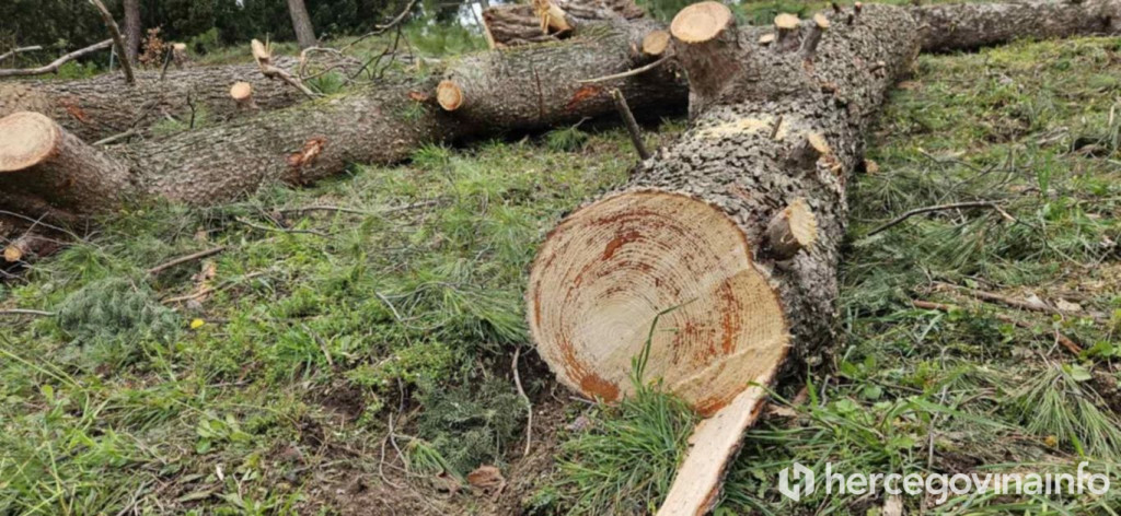 Uređenje park šume kod Studentskog centra Mostar