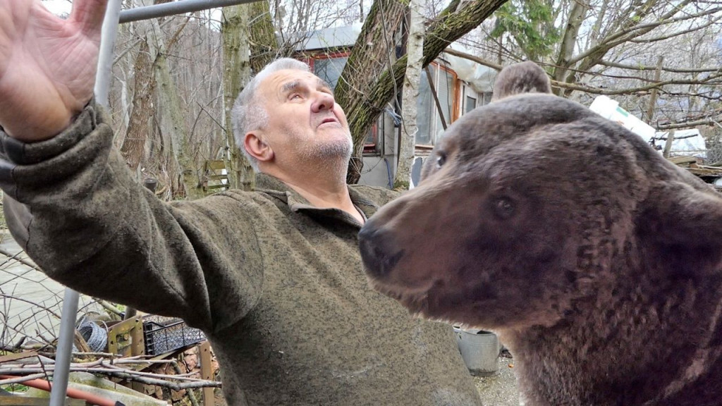 Brine se o medvjedima već 20 godina