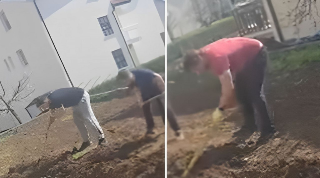 Goran Bogdan sadi krumpire u Širokom Brijegu