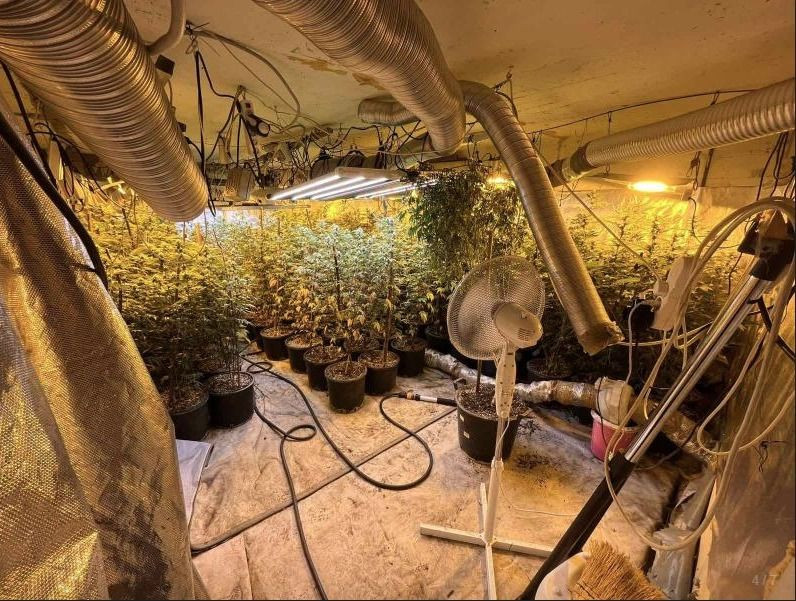  Otkrivene dvije laboratorije, zapljena vrijedna preko milijun KM