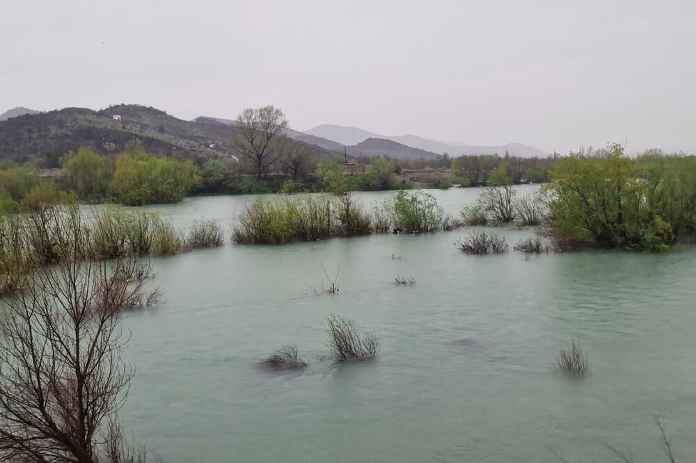 Pronađeno tijelo sestre Stefana Radinovića