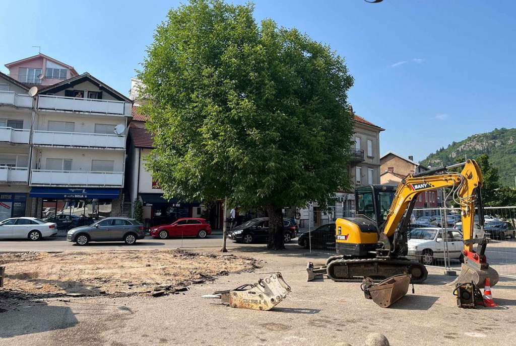 Orah na Trgu u Širokom Brijegu