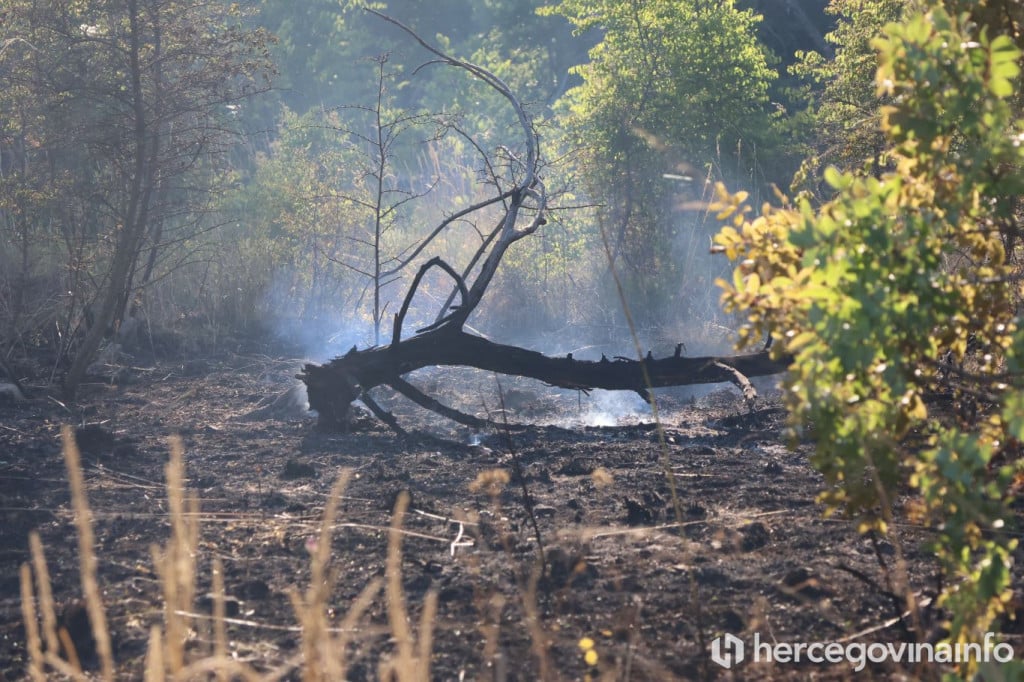 Posljedice požara u Ljubuškom 