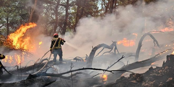 Požari kod Makarske