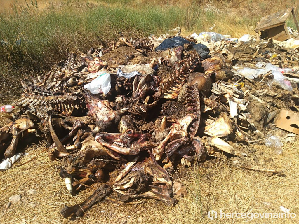 Animalni otpad Stolac Bregava, Badanj