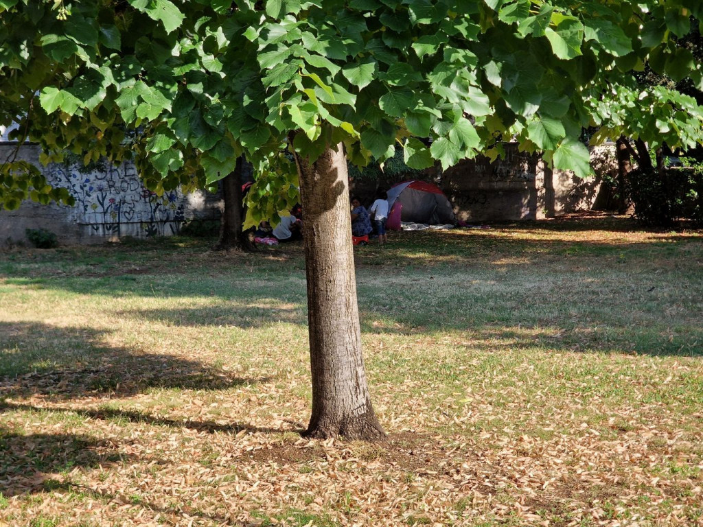 Ilegalno kampiranje u Mostaru 