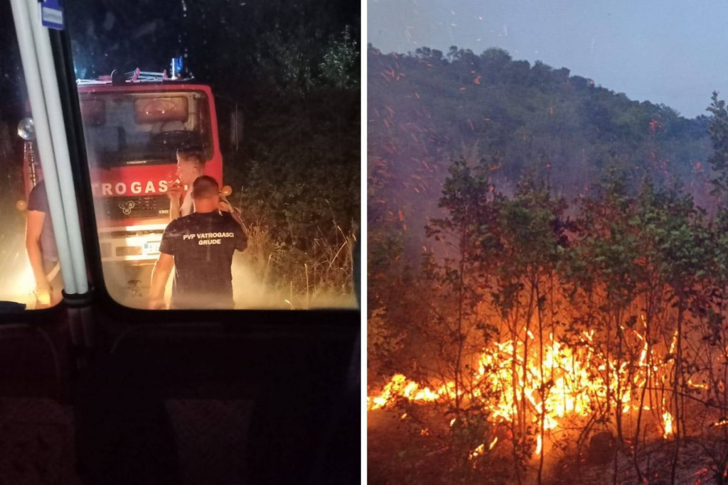 Požar u Gornjim Mamićima