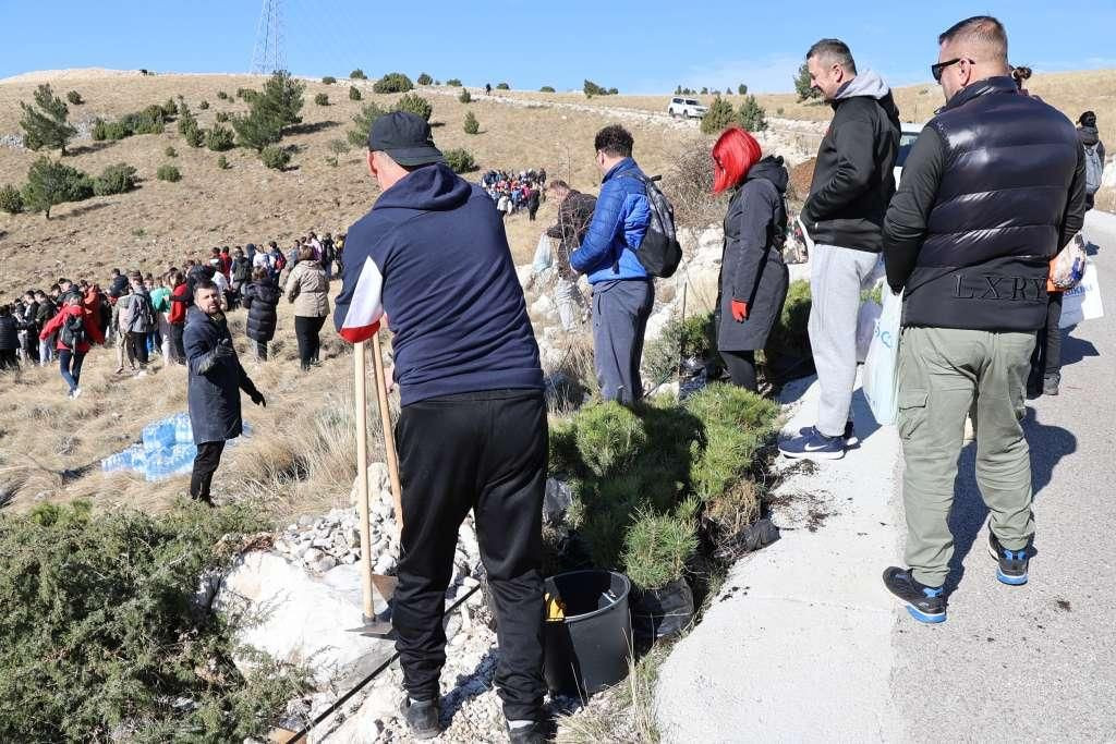 Akcija pošumljavanja Fortice