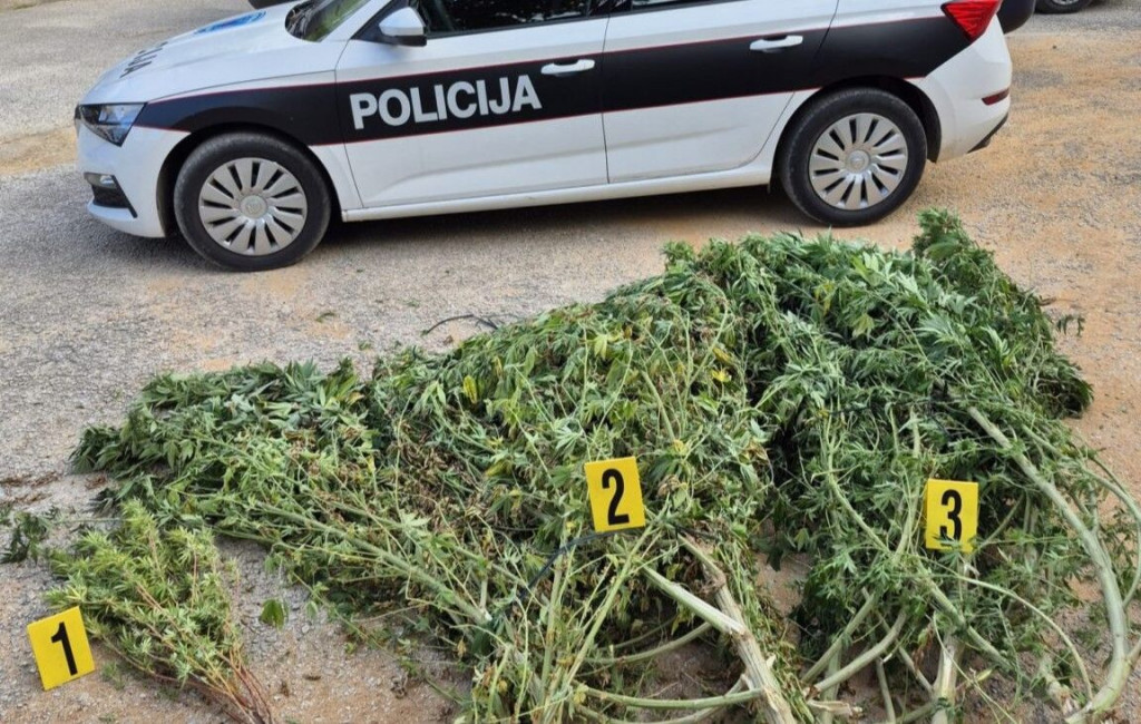 Marihuana Čitluk Vionica