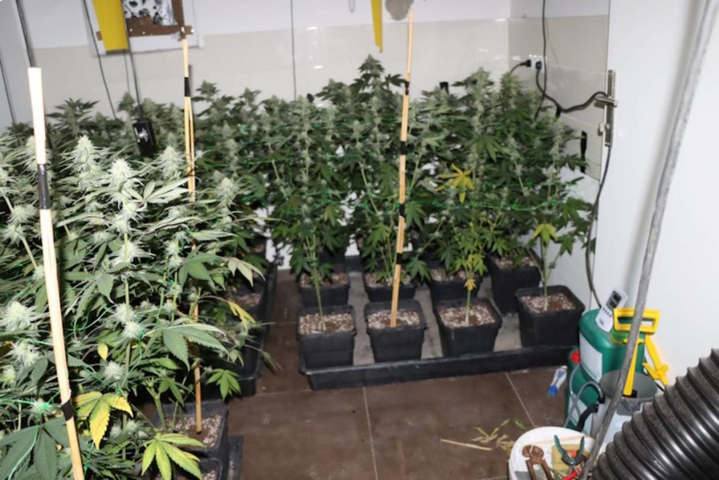 marihuana državljanin BiH Zagreb