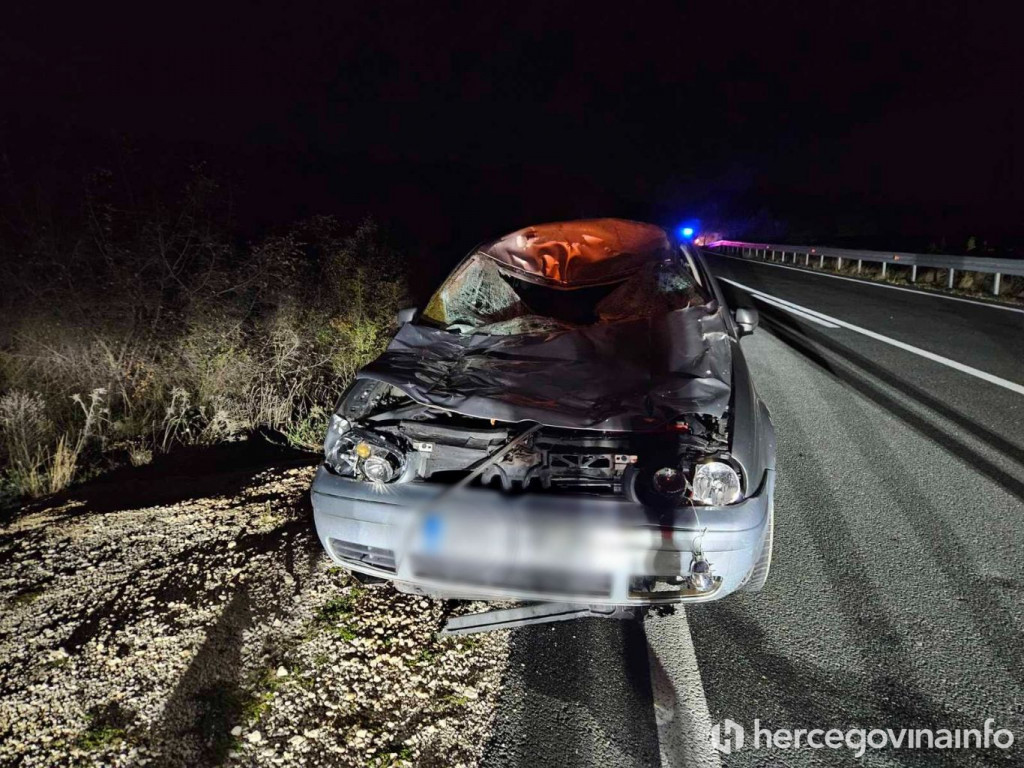 Automobil udario kravu