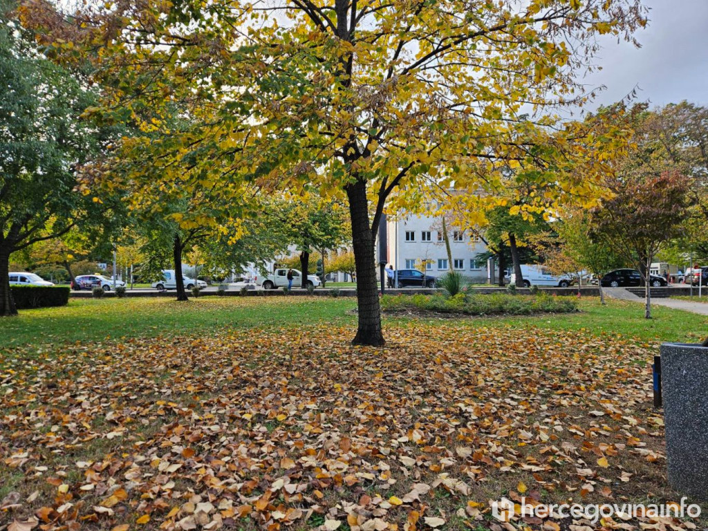 Jesen, vremenska prognoza