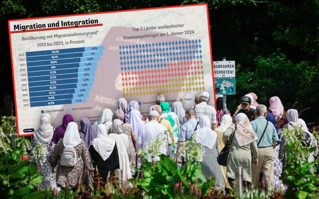 Migranti socijalna pomoć