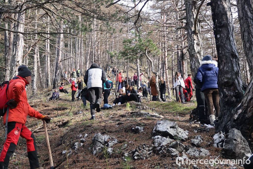 pošumljavanje Konjic