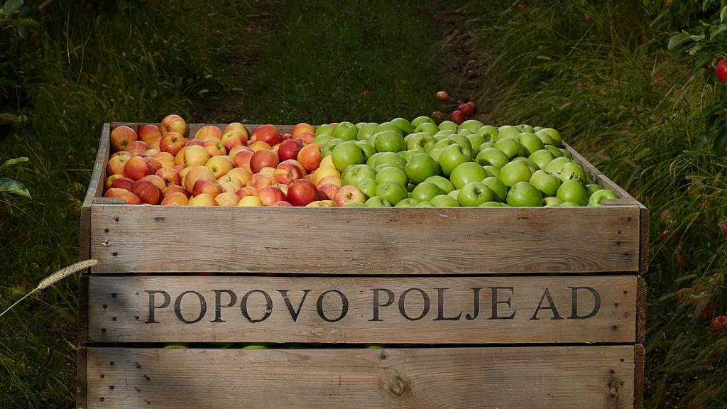 Popovo Polje AD